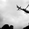 Territorial Army Photo Zine Released