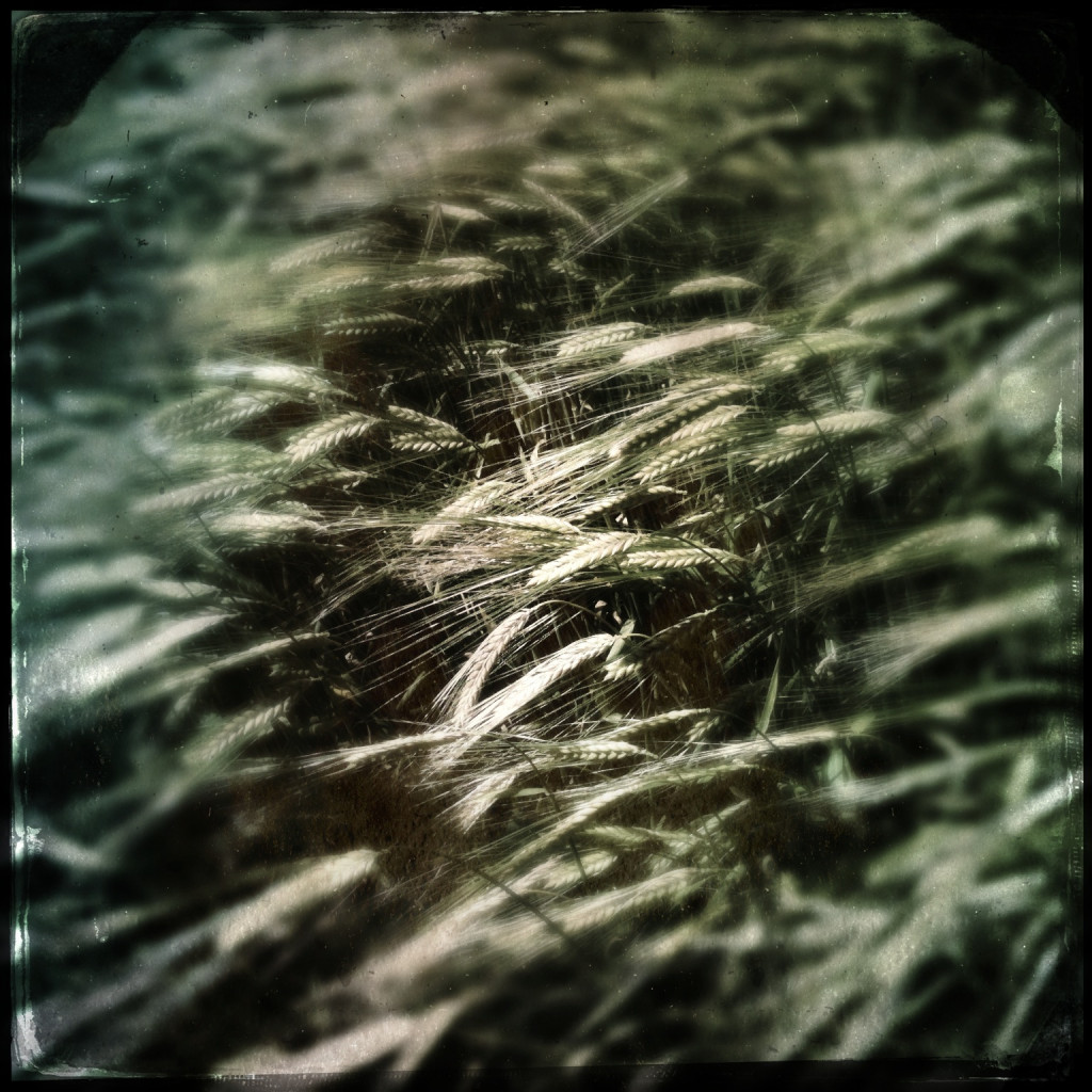 A Stone's Throw. Tintype Photography using an iPhone