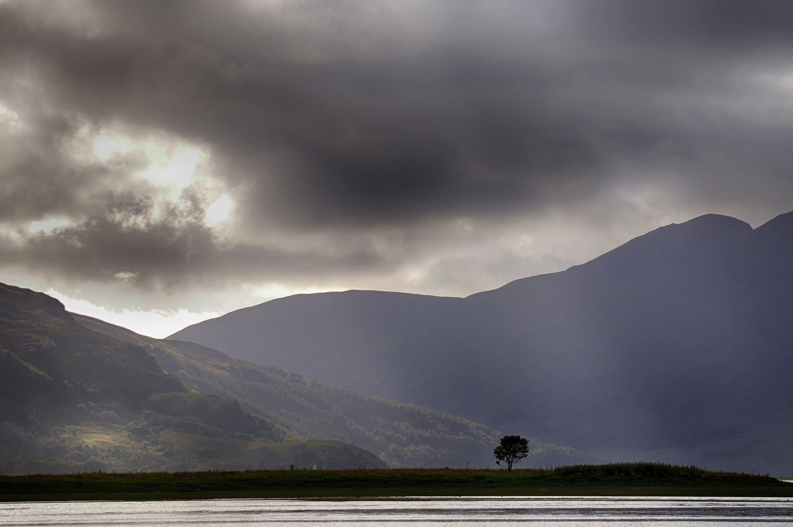 The Lonely Tree: Highlands of Scotland - just one of many images available to license for commercial and editorial use. Image by photographer Richard Flint 